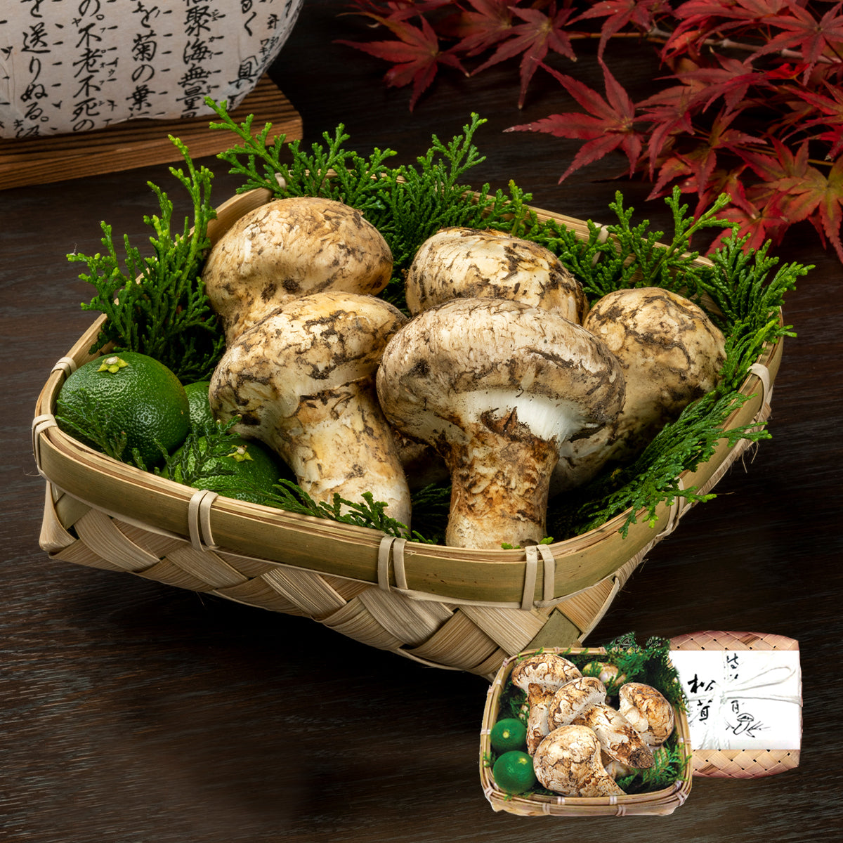 North America's Premium Matsutake Mushrooms for Japan